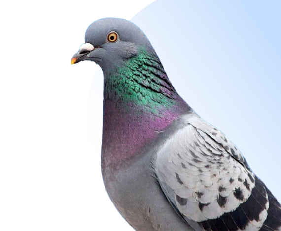 В КУБе выгодная ипотека — и это правда!