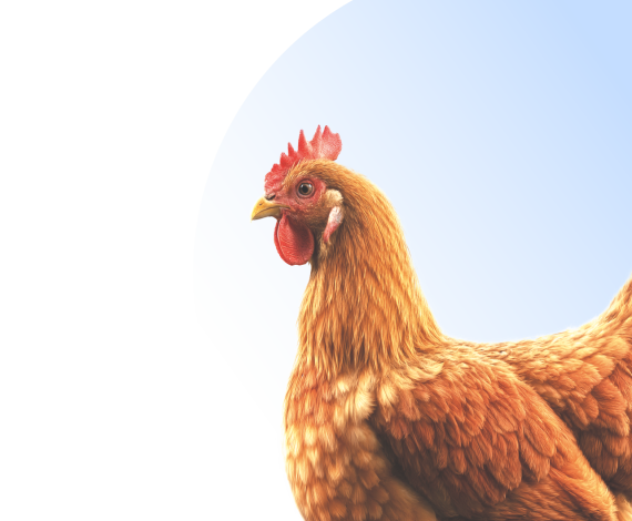 В КУБе выгодный кредит на любые цели — и это правда! 